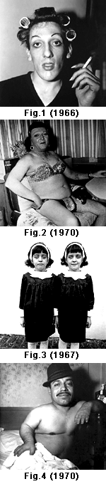 Fig1-4